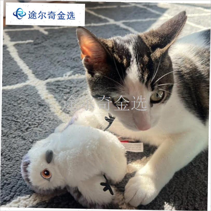 猫玩具自嗨解闷神器会飞的小鸟逗猫神I器宠物智能彷真电动发声玩