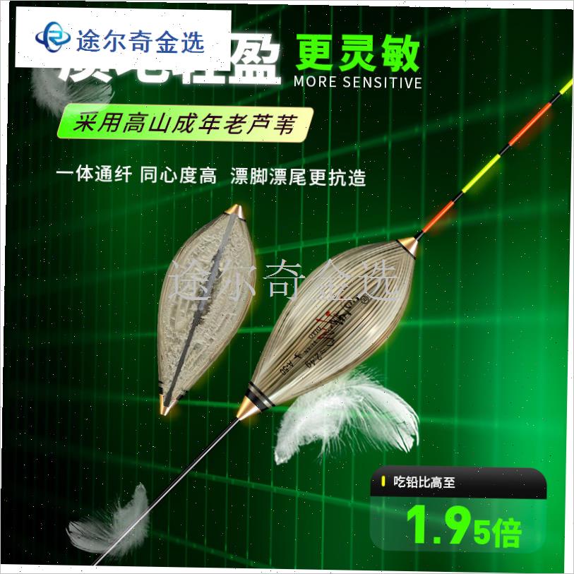 鸽子蛋带c壳芦苇浮k漂鲫鱼鲤鱼高B灵敏醒目防风抗走水枣核行程鱼