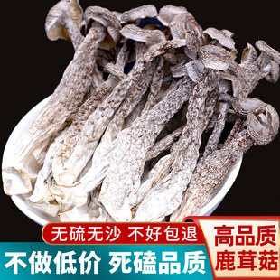 云南特产鹿茸菇优质正品 干货500g一级脆菌非特级蘑煲汤官方旗舰店