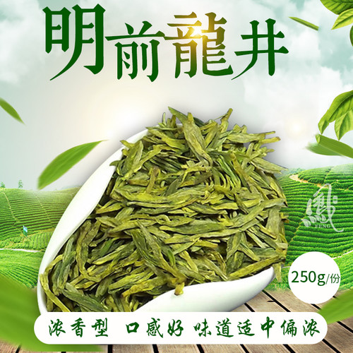 明前一级越醇豆香绿版龙井茶