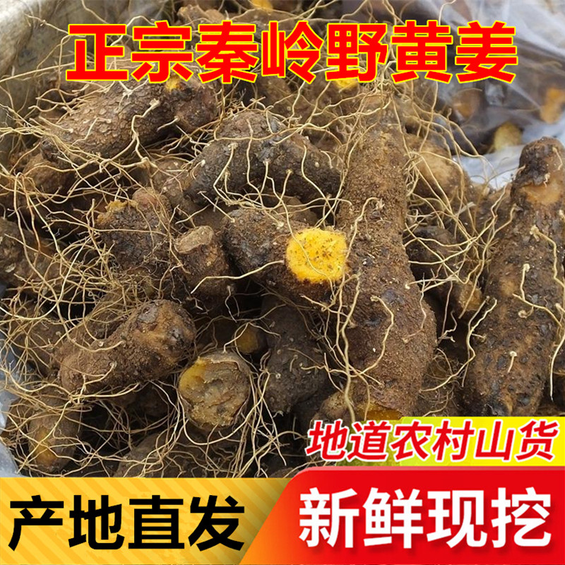 新鲜火头根中药材生野黄姜当现挖火藤根陕西下火泡酒煲汤盾叶薯蓣