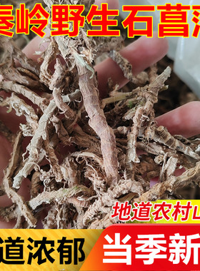 石菖蒲金钱蒲中草药材野生根新鲜泡水酒泡茶干货石蜈蚣山九节菖蒲
