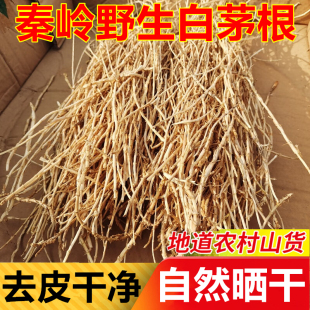 秦岭野生白茅根晒干货现挖整颗丝毛草根甜草根竹蔗芦中草药材凉茶