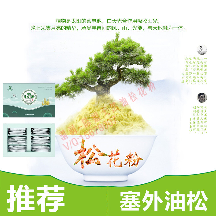 陈姐塞上松 即食破壁油松花粉 无糖素片 旅游出差便装片剂