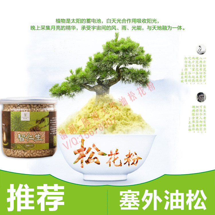 正品 塞上松 野生原味松仁果 东北油松产物自然晾晒非油炸 营养果