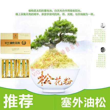 塞上松 东北野生油松松花粉 高破壁易吸收 旅游外出便携粉条装