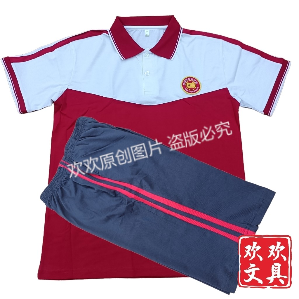 华隆发实验校服学校夏季针织棉校服拼色校服透气舒适图片