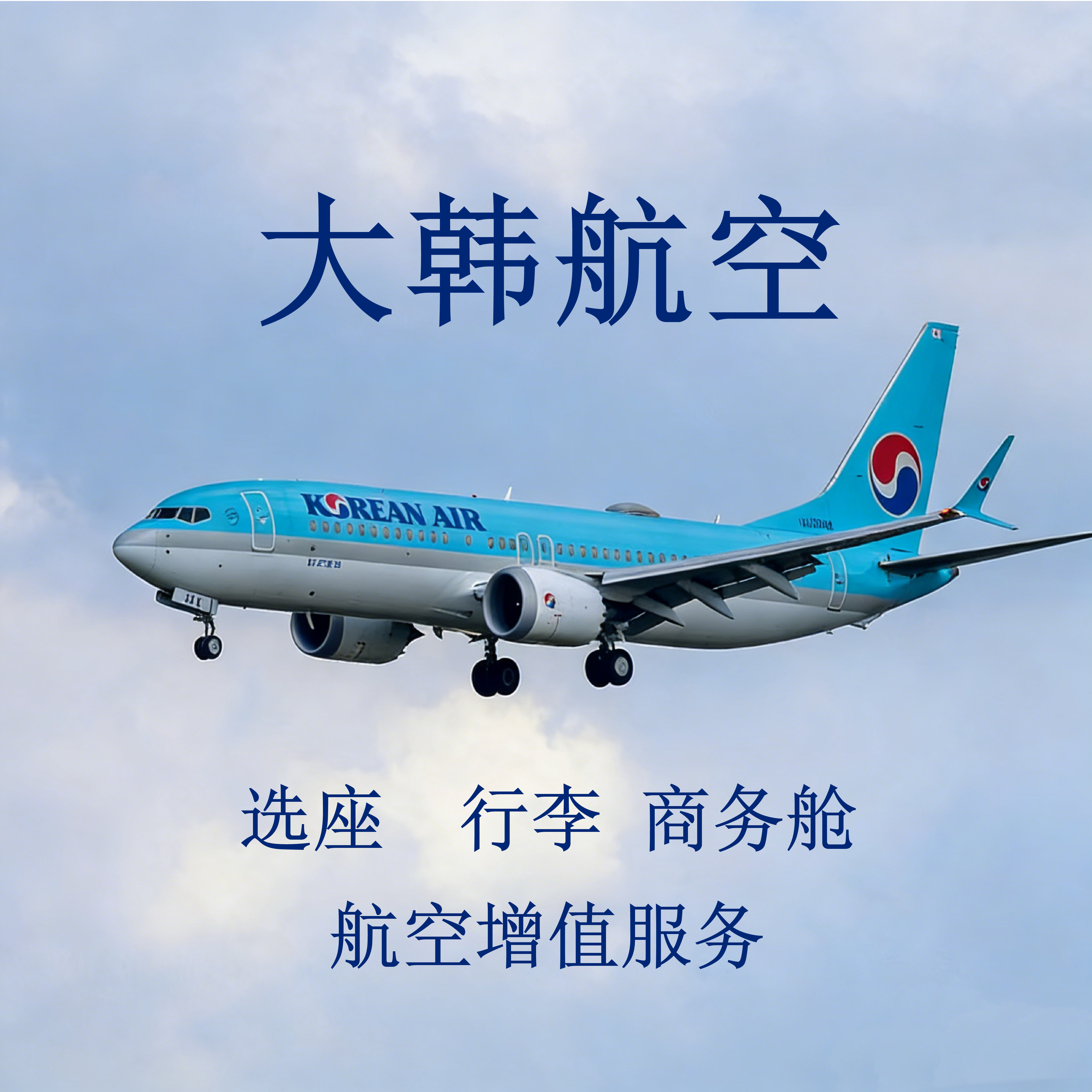 大韩航空 Koreanair  选座 行李 商务舱 增值服务