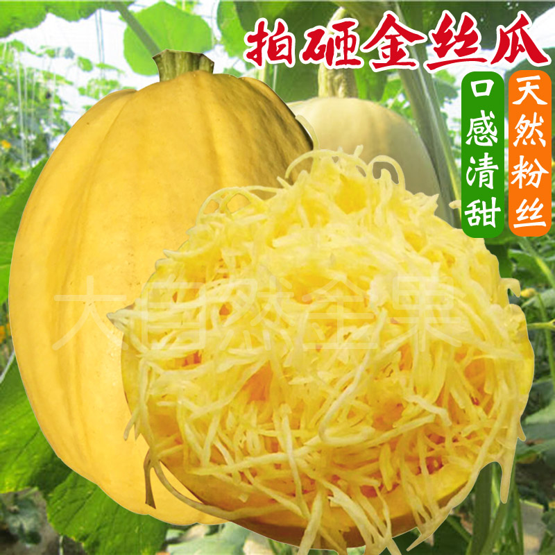 拍砸金丝搅瓜种子金丝瓜种籽茭瓜黄金瓜粉丝春夏季盆栽蔬菜种孑