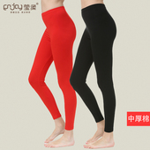 保暖裤 莹柔女士秋裤 单件超薄款 中厚棉内穿黑色打底裤 弹力棉毛线裤