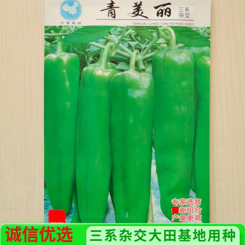 三系杂交基地种植辣椒种子青椒