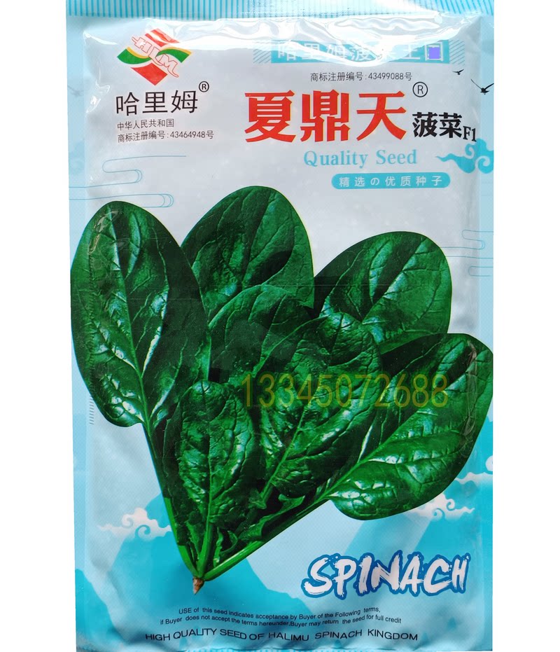 哈里姆耐热丹麦杂交夏鼎天菠菜种子高产春秋季半圆叶蔬菜孑250克