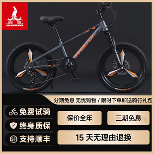 凤凰官方儿童山地自行车青少年6-12岁中大童小学生男女孩变速单车