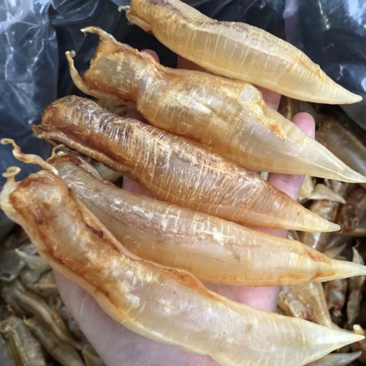 阳江沙扒月亮湾渔船出海自晒大号金龙鱼肚胶鳔 999元一斤包邮