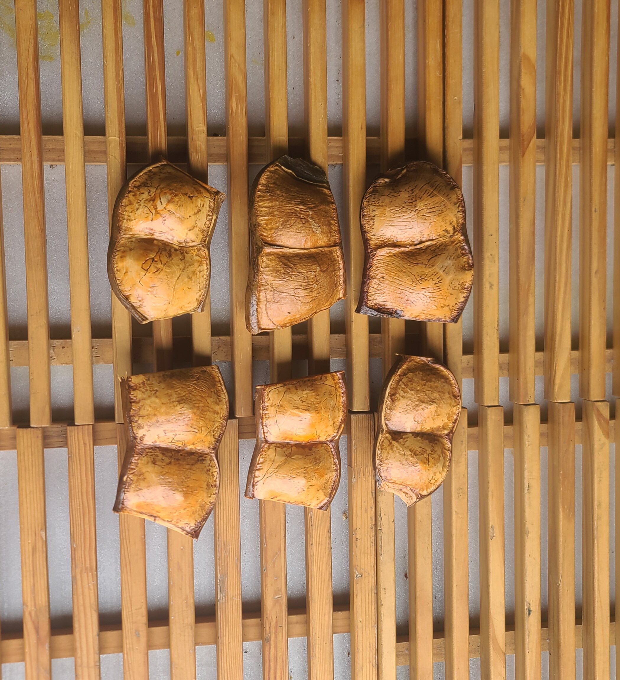 手工豆荚娃娃材料单豆双豆diy云南产地大豆荚过江龙榼藤子平安豆