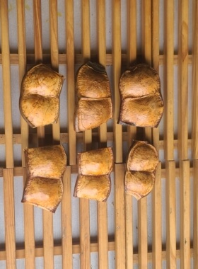 手工豆荚娃娃材料单豆双豆diy云南产地大豆荚过江龙榼藤子平安豆