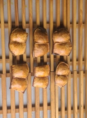 手工豆荚娃娃材料单豆双豆diy云南产地大豆荚过江龙榼藤子平安豆