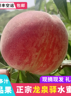 现摘正宗龙泉驿水蜜桃新鲜水果桃子白凤晚湖景大果礼盒装顺丰包邮