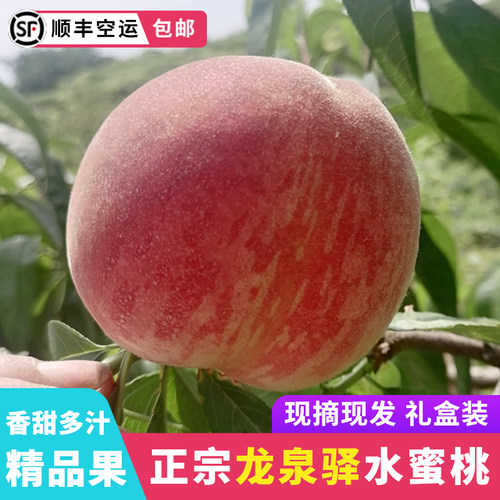白凤桃皮薄汁多5斤龙泉驿爆汁