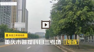 重庆正阳水天坪菩提桥河保家李渡科目三考场考试视频专业拍摄教程