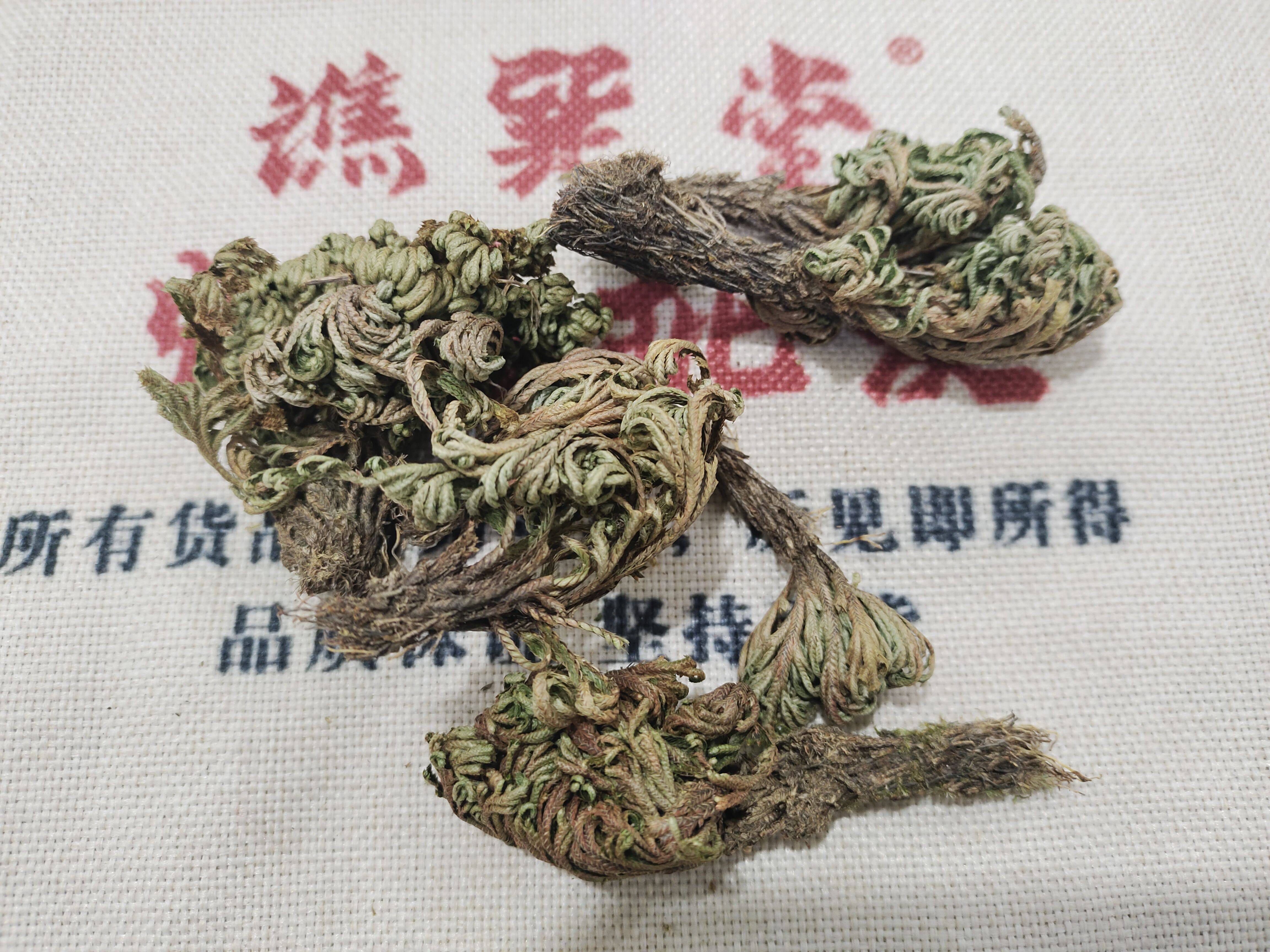 正品卷柏中药材 野生卷柏九死还