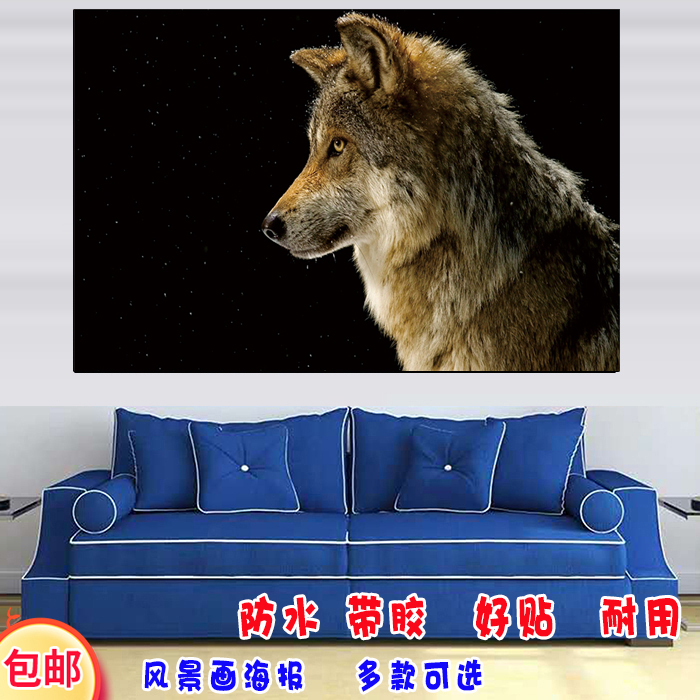 狼图装饰画壁纸自粘画动物海报咖啡馆野狼图片卧室客厅贴图网吧画图片