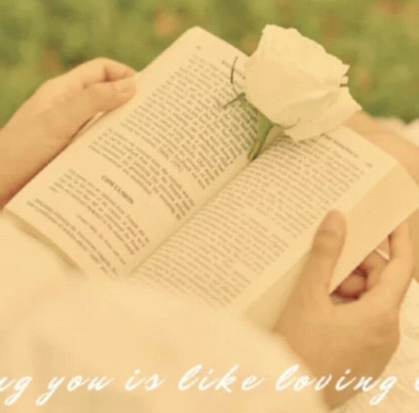 影楼情侣主题欧式复古镜子白色郁金香手捧旅拍手拿英文书道具