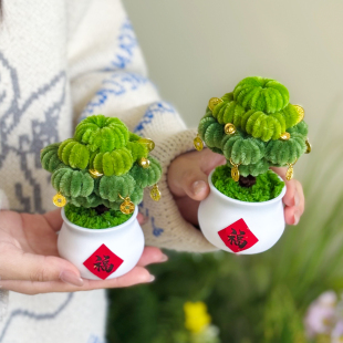 创意生日礼物手工成品扭扭棒发财树送朋友闺蜜新年礼物办公室摆件