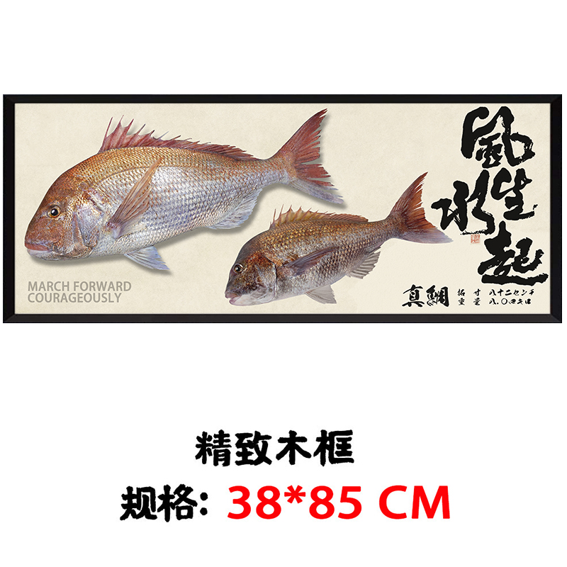 垂钓路亚黑鲷海钓金枪鱼路亚摆件