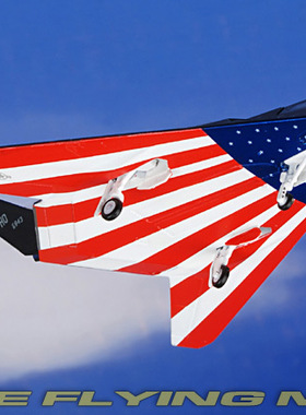 hogan HG6498 1/200 F-117 F117美国空军合金成品飞机模型摆件