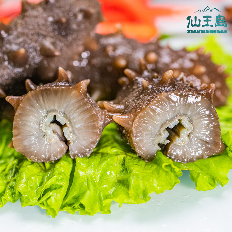 仙王岛冷蒸即食海参7年80-90头10斤滋补养生鲜食大连辽刺参5千克
