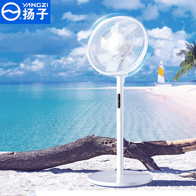 扬子落地扇家用台地两用遥控电风扇立式静音省电摇头空气循环大风