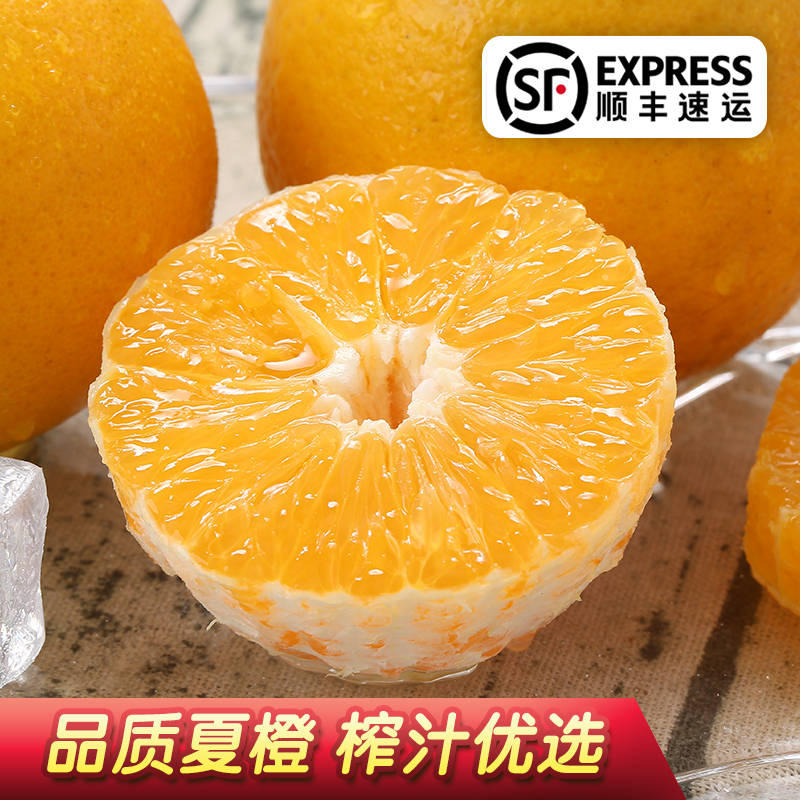 秭归夏橙 橙子水果批发包邮新鲜当季整箱10斤脐橙手剥橙非冰糖橙