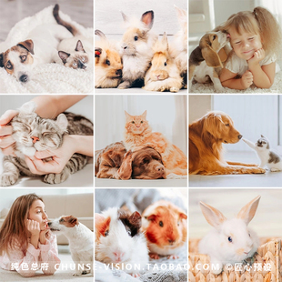 室内暖糖干净宠物手机版LR Lightroom预设电脑LR PS预设滤镜ins