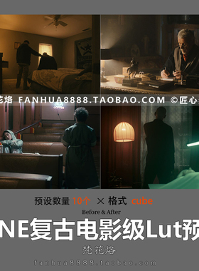 Cine电影色调Lut预设log灰片达芬奇PR剪辑AE调色预设Luts预设