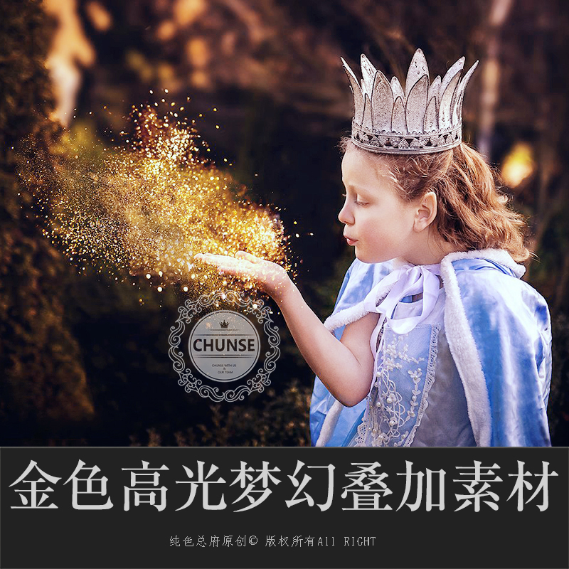 金色高光金粉儿童艺术人像写真梦幻化妆修图特效合成ps素材x17 领券立减元到手价8 69元0人已购买