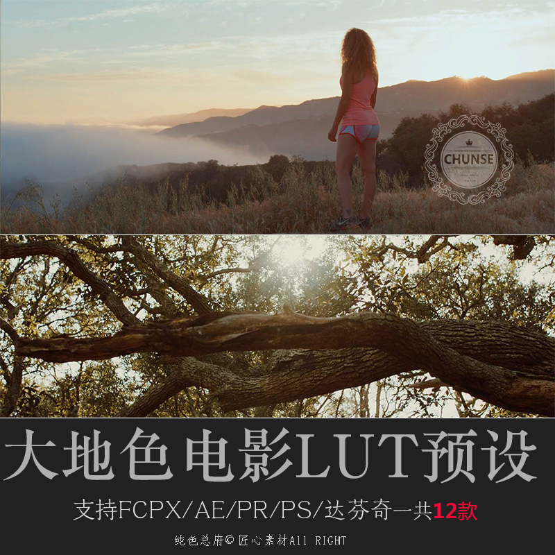 luts预设大地色低饱和电影色调PS/AE/Pr/FCPX/达芬奇lut预设U19