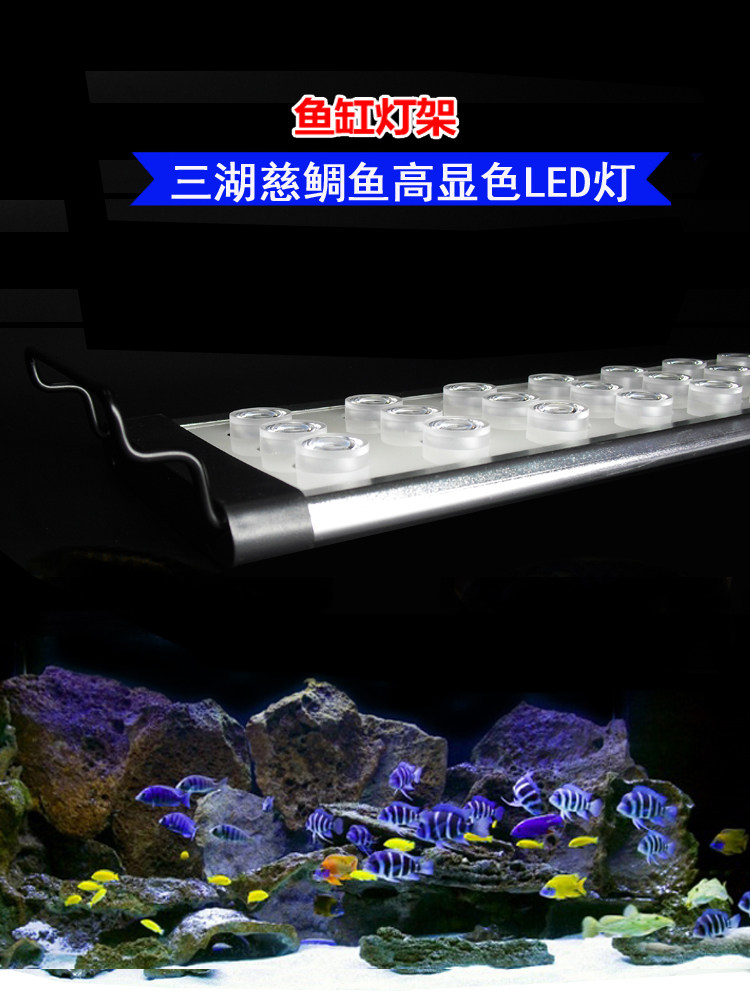 万景丰三湖慈鲷鱼热带观赏鱼缸灯三排引色灯照明高显色fot海水灯