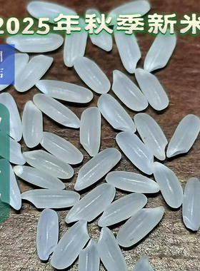 2025年新米东北长粒香大米农户直供黑龙江宝清县发货10斤