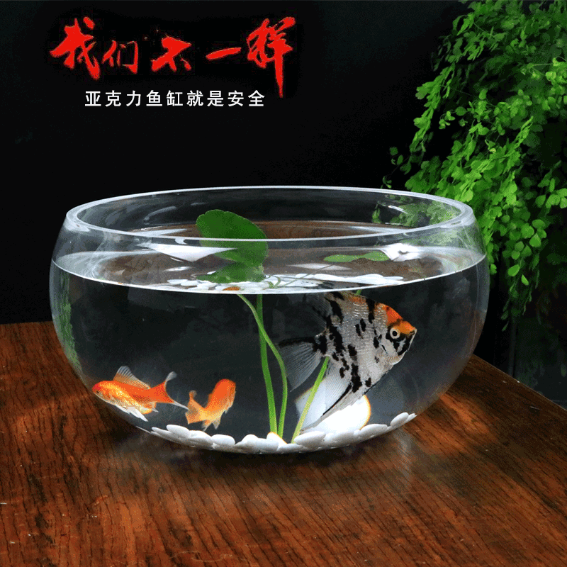 亚克力圆形鱼缸办公室有机玻璃