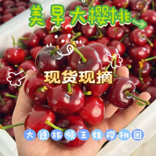 树上果大连美早樱桃车厘子特大新鲜当季孕妇送礼顺丰空运礼盒