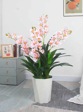 塑料花兰花落地装饰植物室内客厅
