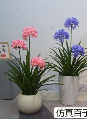 sai冠工艺源仿真百子莲客厅盆栽
