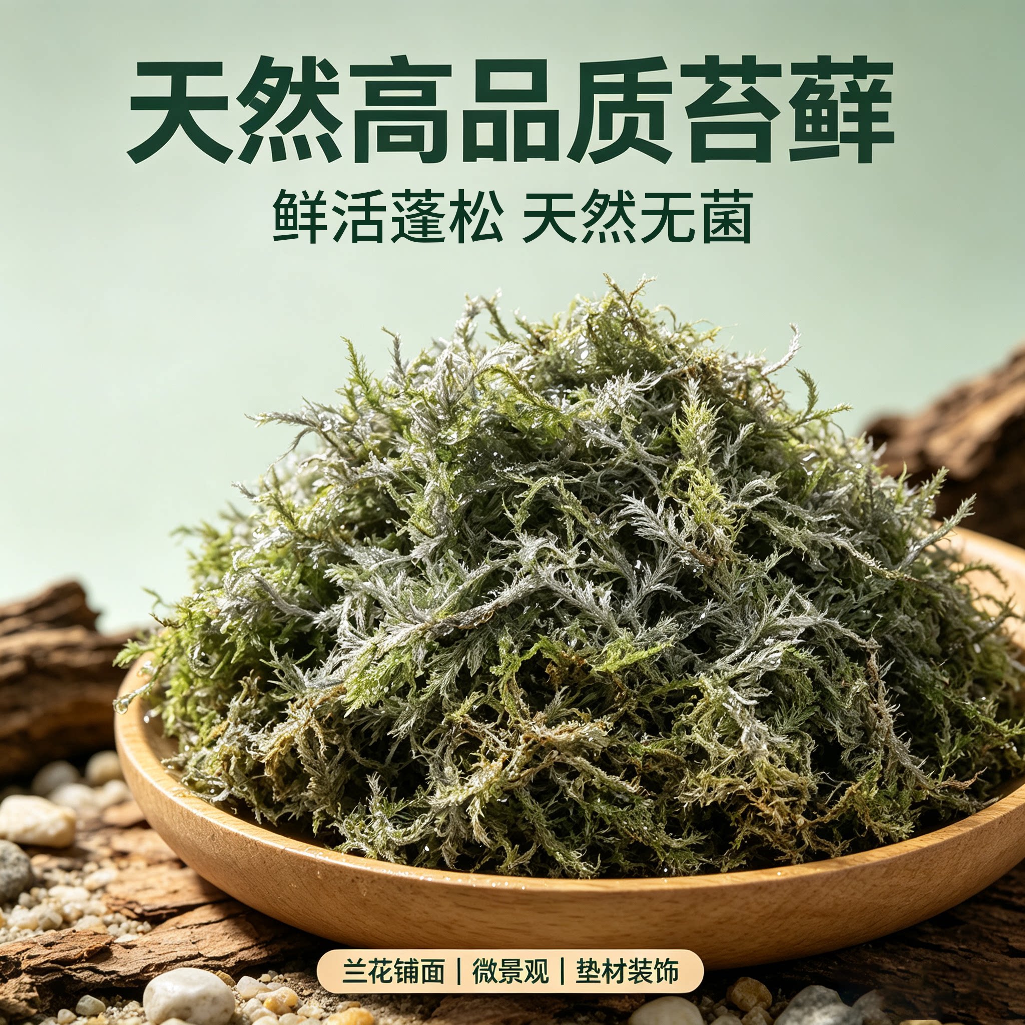 天然干青苔水苔藓兰花垫材透气保