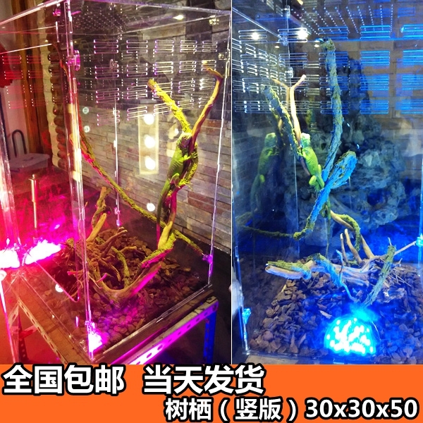 高冠变色龙饲养箱亚克力爬虫箱