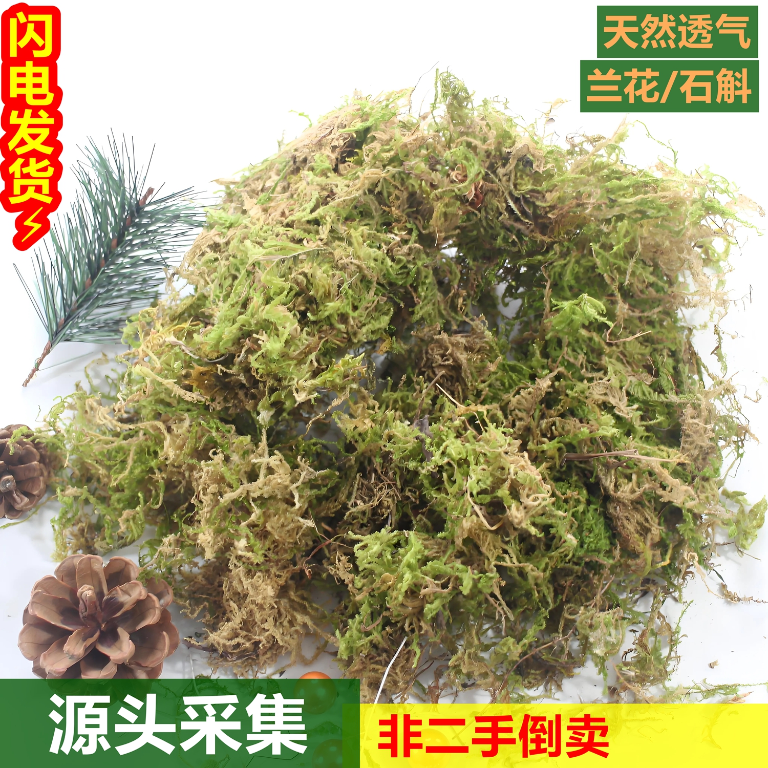 干苔藓干爬宠垫材水苔纯天然种植有机营养土优质石斛蝴蝶兰种植土