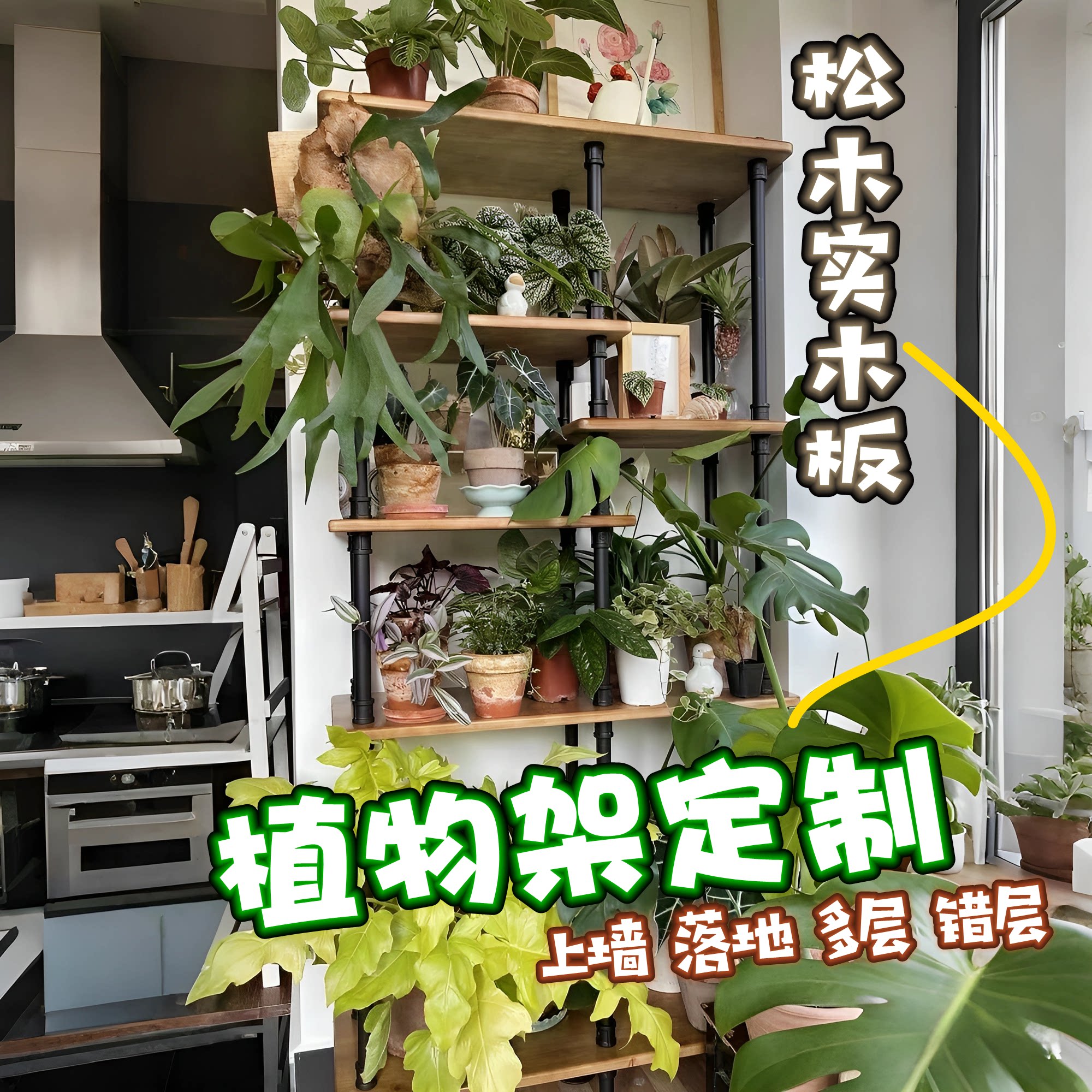 置物架飘窗多肉花架子热带植物花架植物架龙舌兰鹿角蕨龟背竹花烛