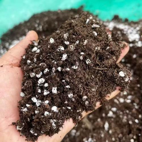 泥炭珍珠岩混合营养土
