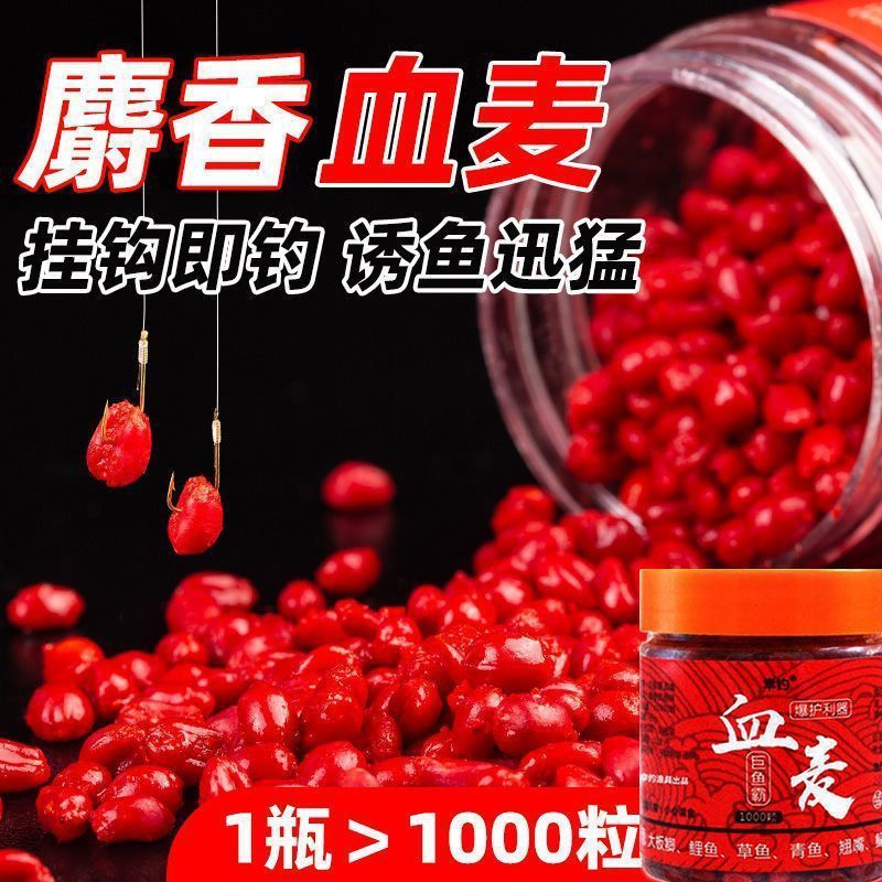 谷麦钓血麦粒颗粒鱼料鱼食野钓黑坑鲤鱼青鱼钓饵鱼饵专用钓鱼饵料