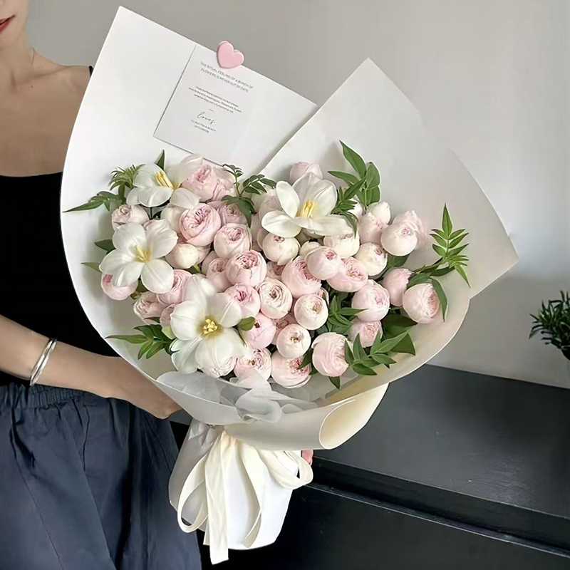 圣诞节酷皮玫瑰花生日花